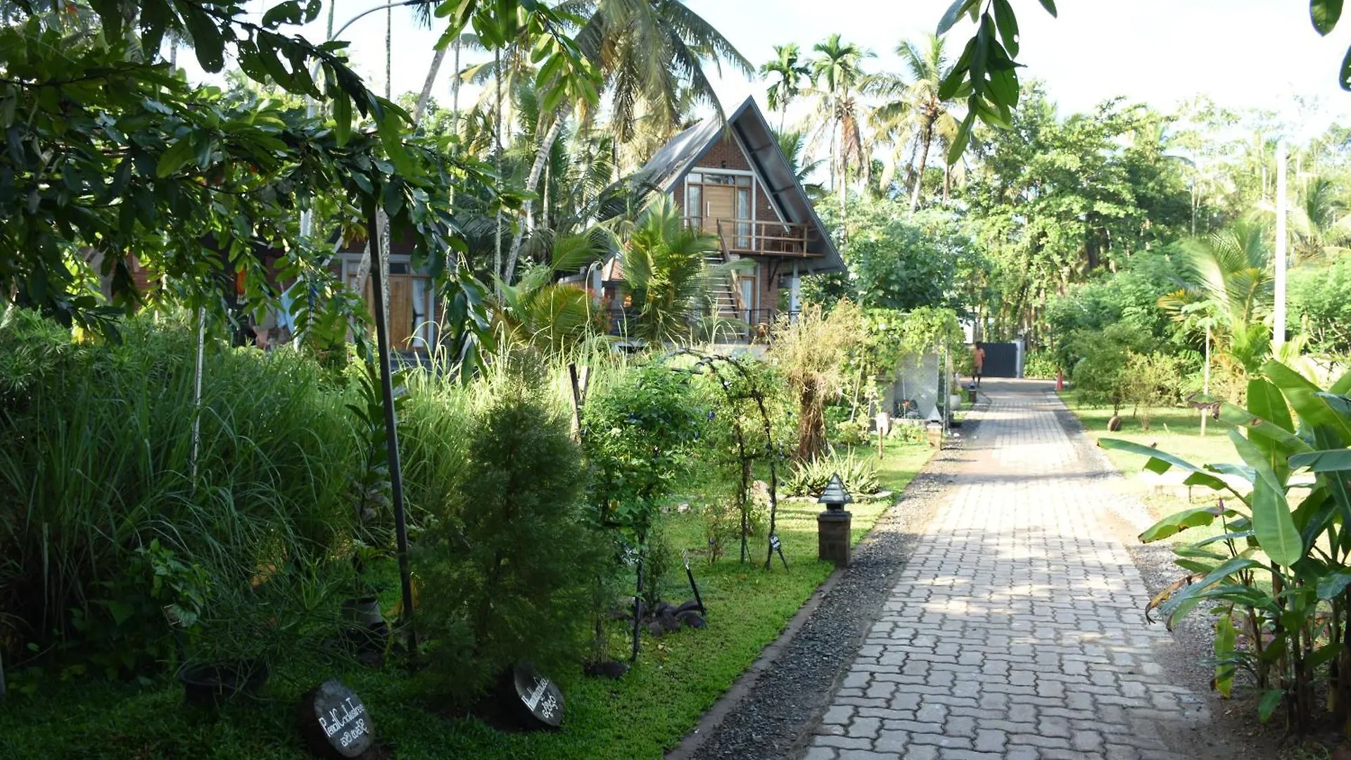 Steps Garden Resort Negombo Hotel