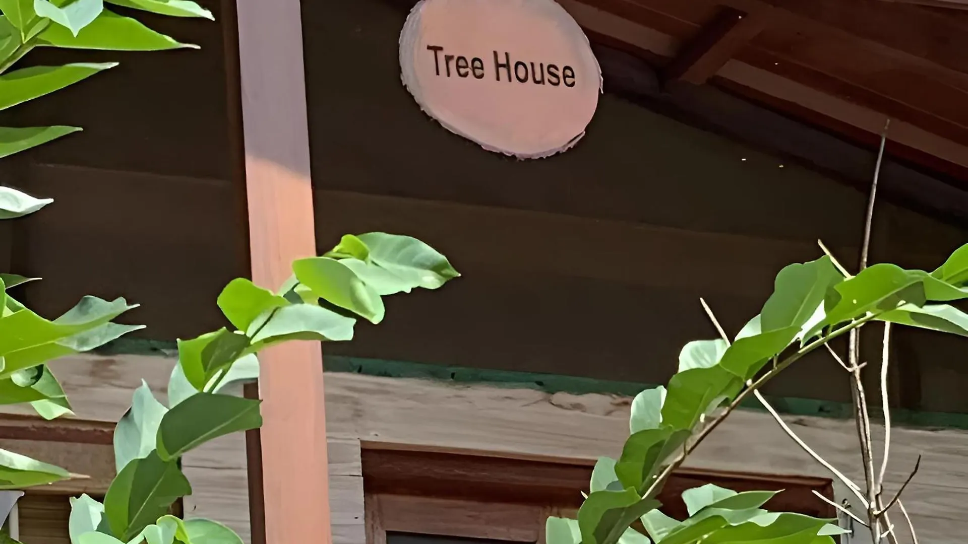 Steps Garden Resort Negombo Sri Lanka