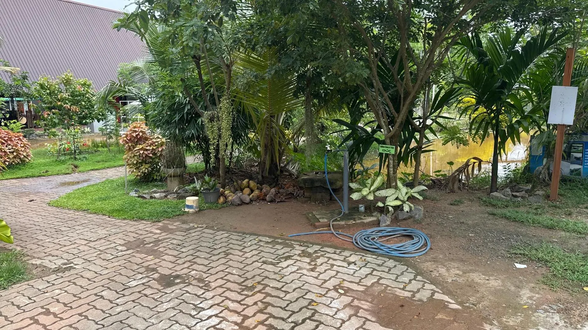 Steps Garden Resort Negombo 3*,  Sri Lanka