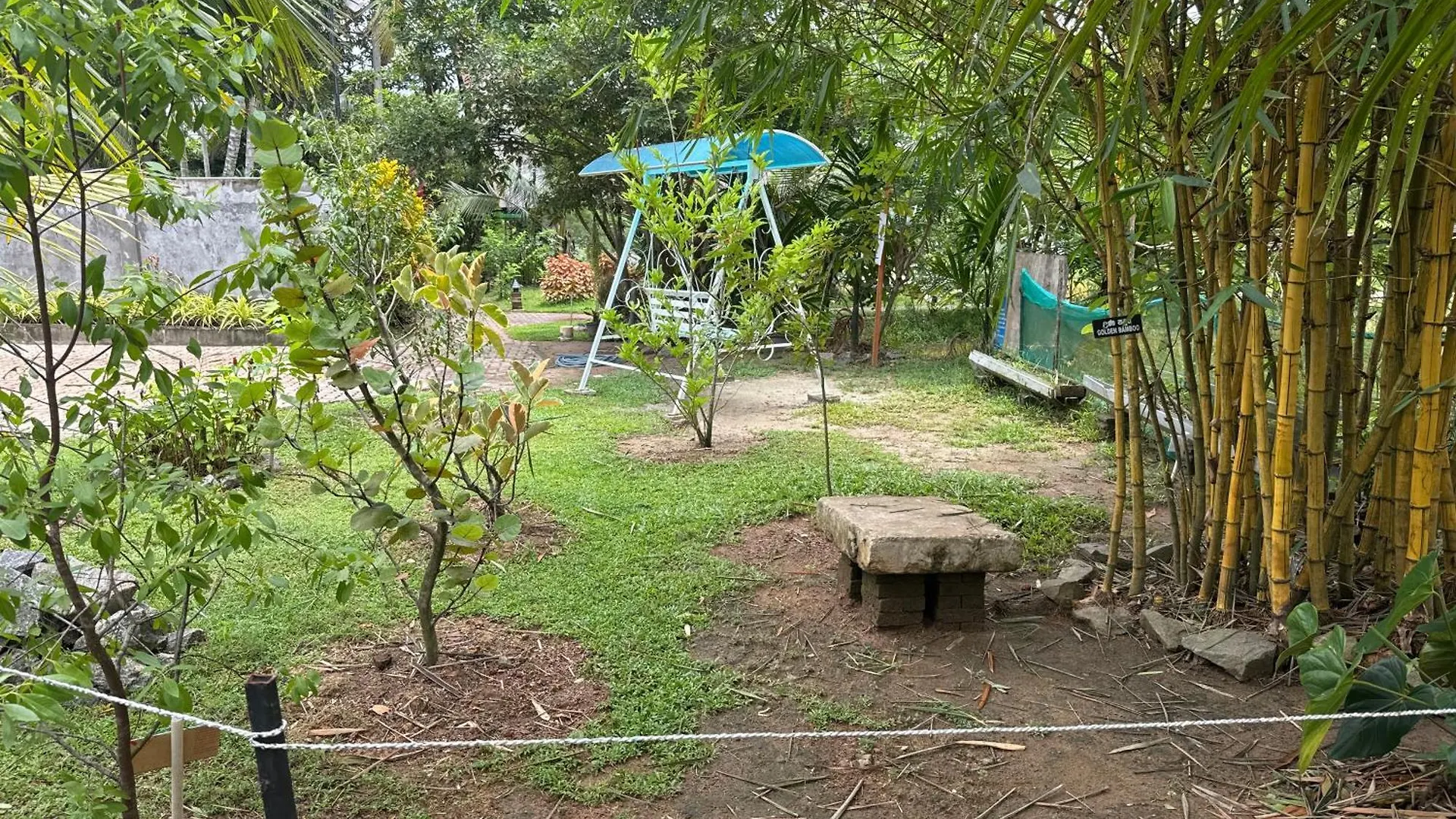 Steps Garden Resort Negombo Hotell