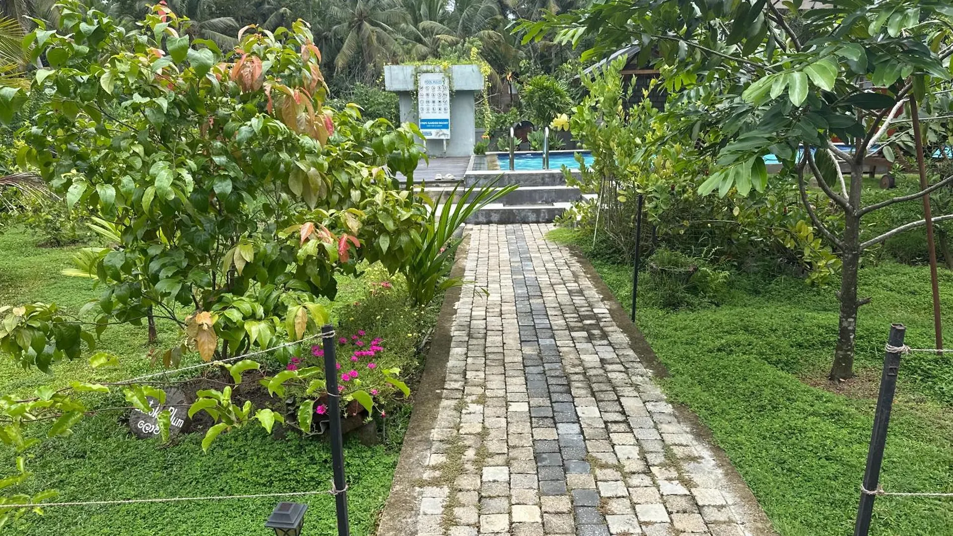 *** Hotel Steps Garden Resort Negombo Sri Lanka